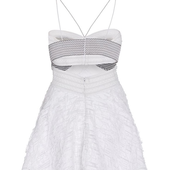 Jonathan Simkhai Lielle Fringe Cutout Bandage Dress - Picture 3 of 16